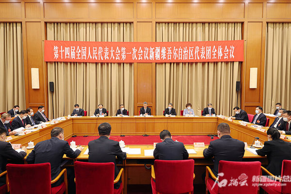 新疆代表团举行全体会议审议政府工作报告